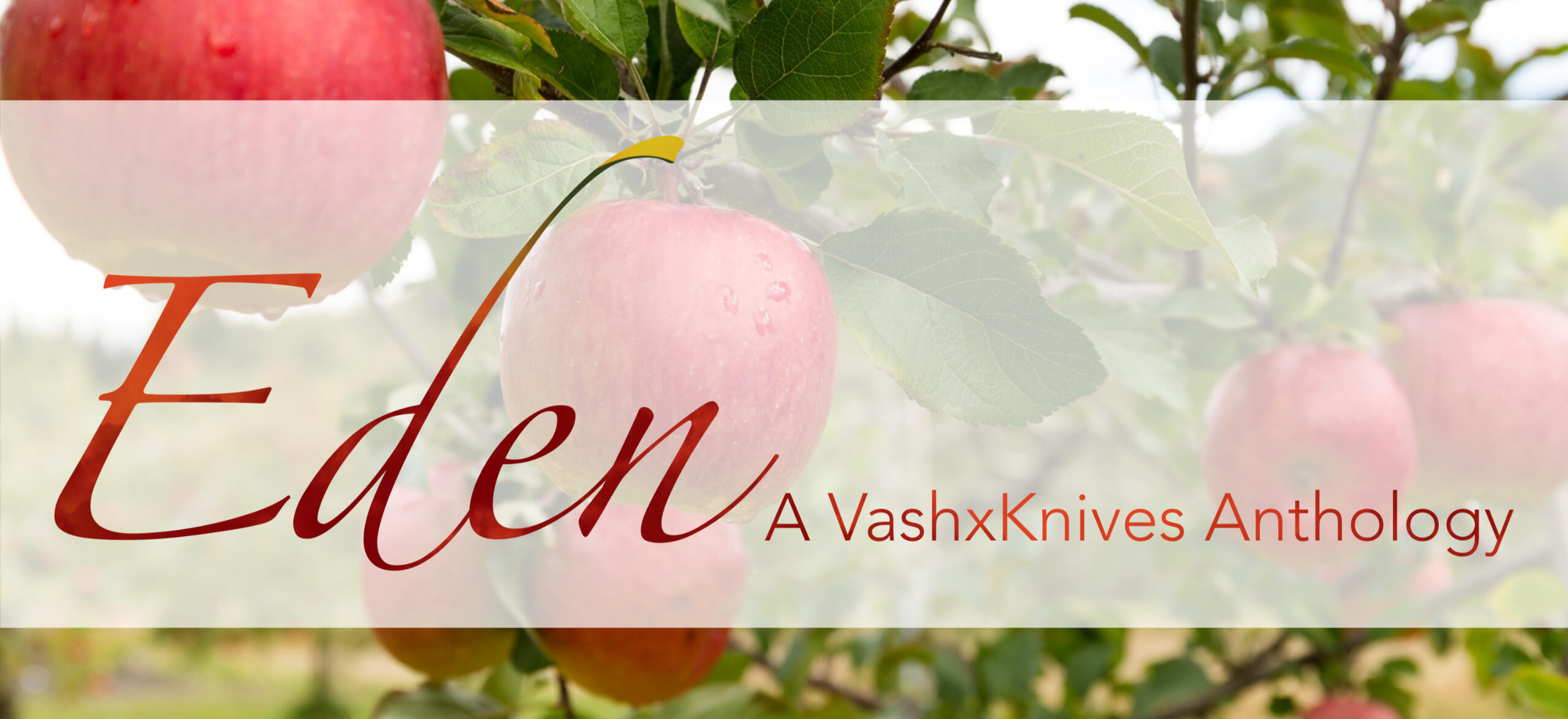 header image